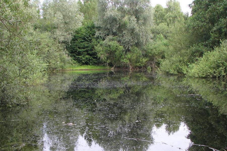 42+ Teich Bei Cremlingen, Der weddeler teich ist ein 4,8 ha großer